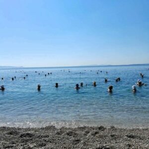 Δωρεάν θαλάσσια μπάνια στο Πόρτο Ράφτη για τα ΚΑΠΗ Καισαριανής: Όλες οι πληροφορίες για τις εγγραφές