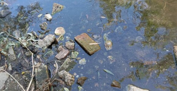 «Μαύρη» πραγματικότητα στο Ρέμα Πικροδάφνης: SOS από τους πολίτες για τις απορρίψεις λυμάτων